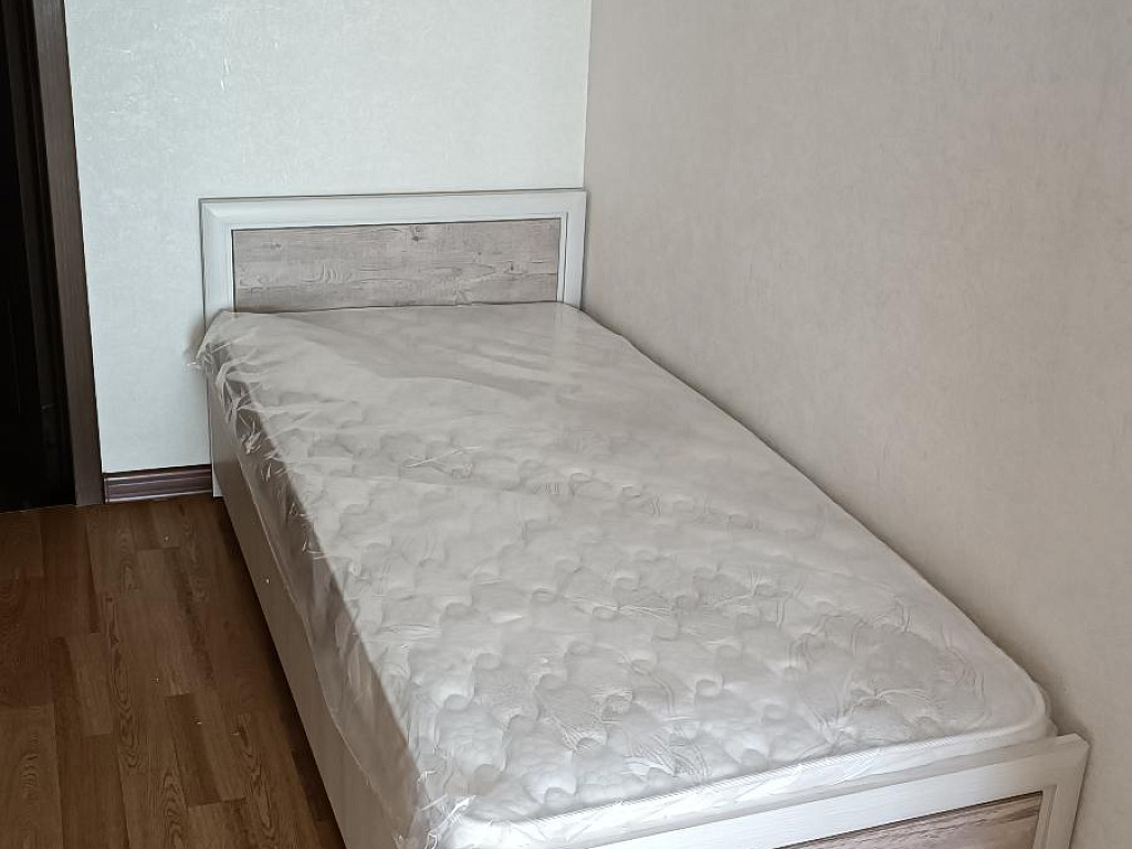 Коен Сосна