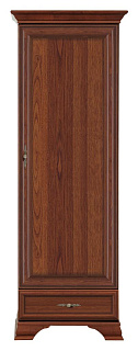 Шкаф REG1D1S