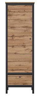 Шкаф REG1D1S