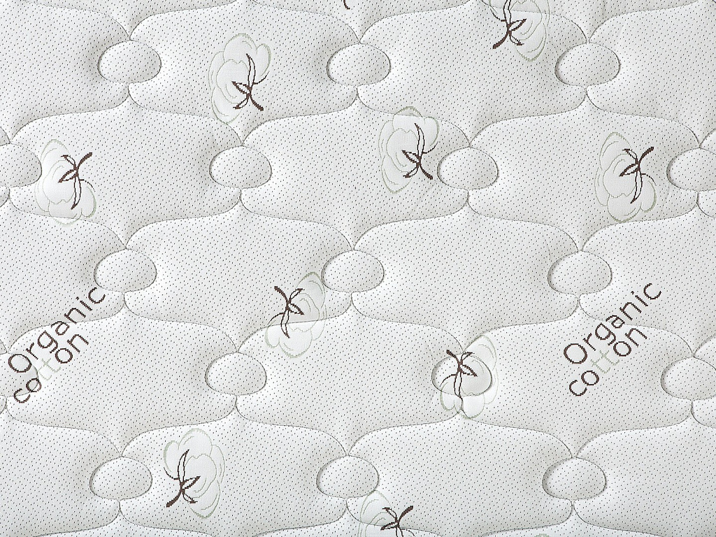 Concept 12 Organic Cotton